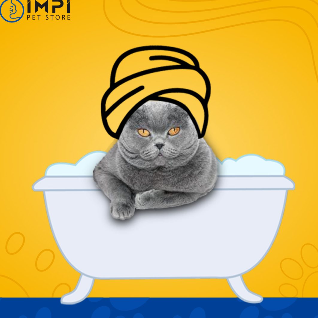 Impi Pet Store & Cat Hotel 1 impi pet store cat hotel