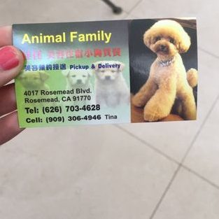 Jia jia pet shop TRADING 1 jia jia pet shop trading 1