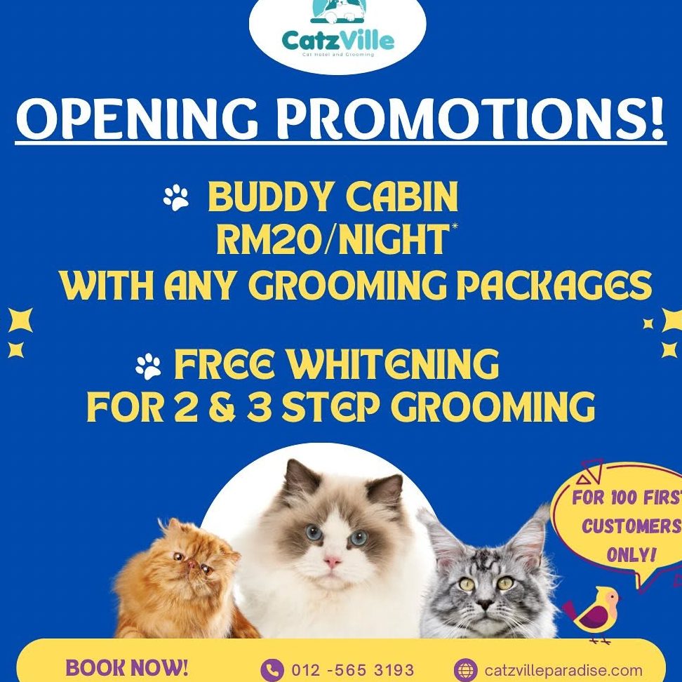 just catz grooming hotel