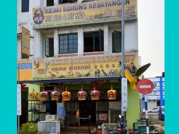 kedai burung wong