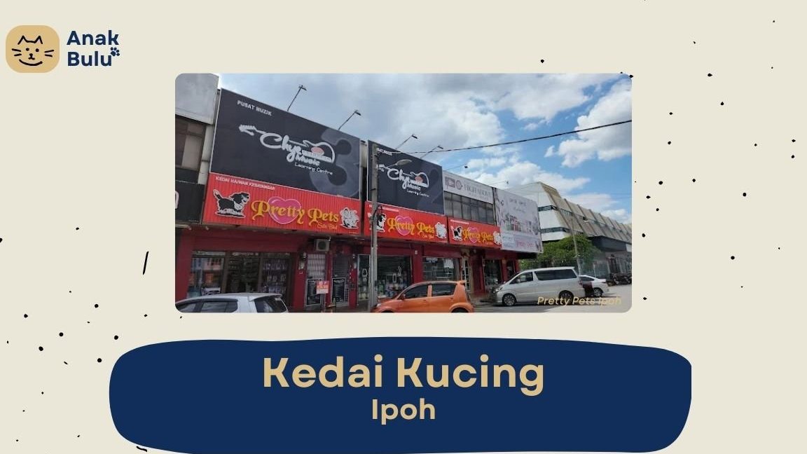 kedai cat terbaik di ipoh
