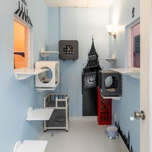 KF Petshop (Grooming & Cat Hotel) 1 kf petshop grooming cat hotel