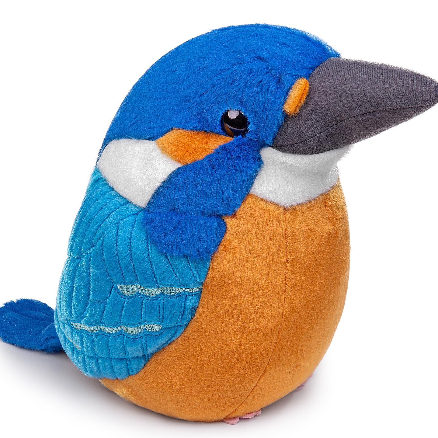 Kingfisher Donggongon Pet Shop 1 kingfisher donggongon pet shop