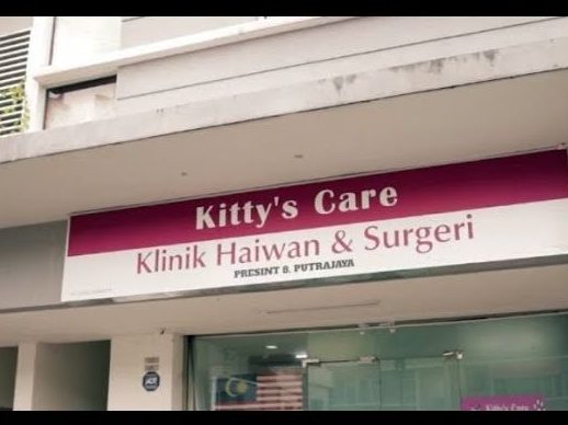 kittys care veterinary clinic putrajaya klinik haiwan surgeri
