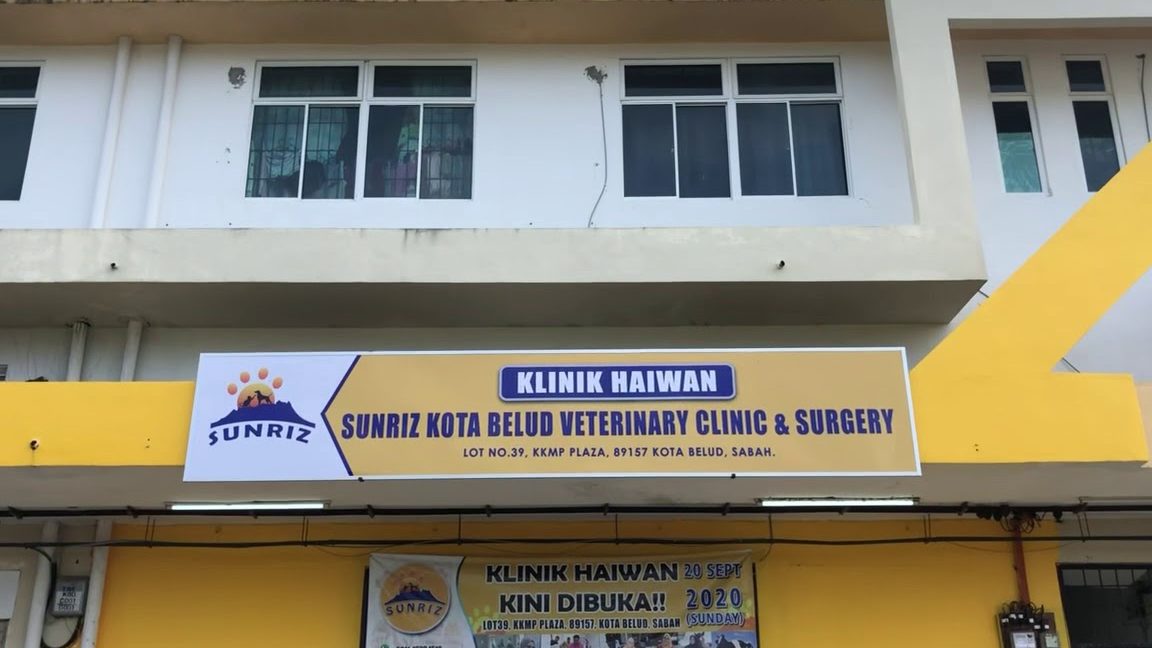 Klinik Haiwan Kota Belud 1 klinik haiwan kota belud