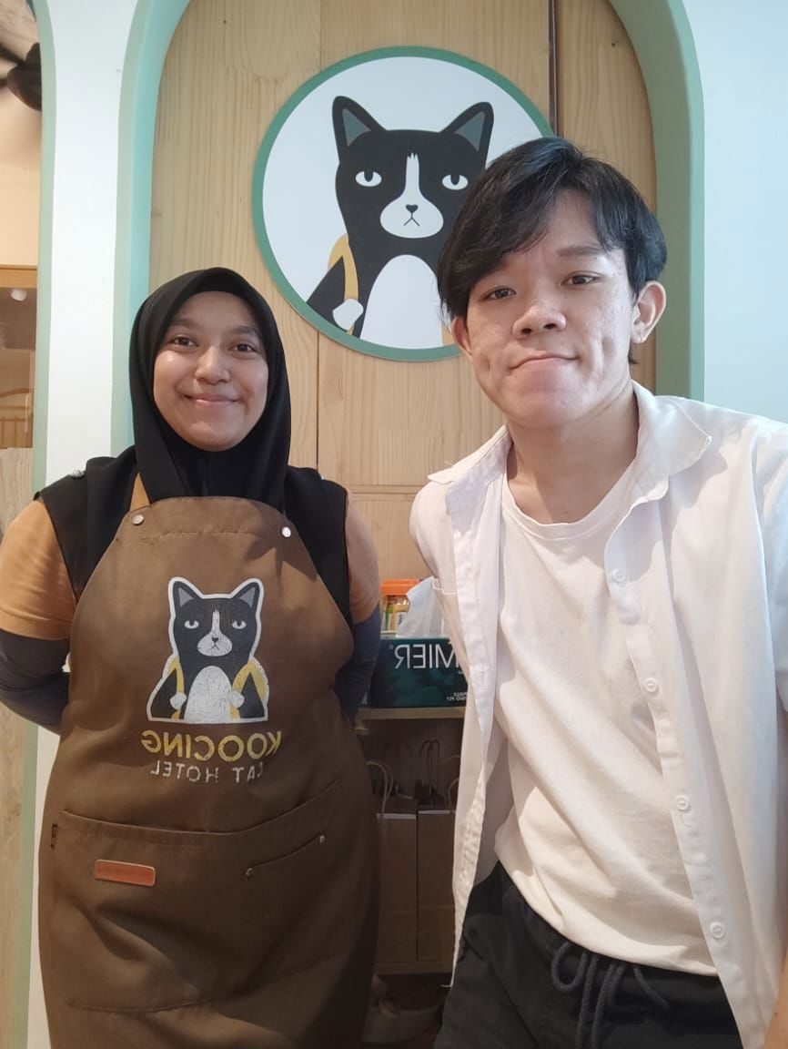 koocing cat hotel cat grooming