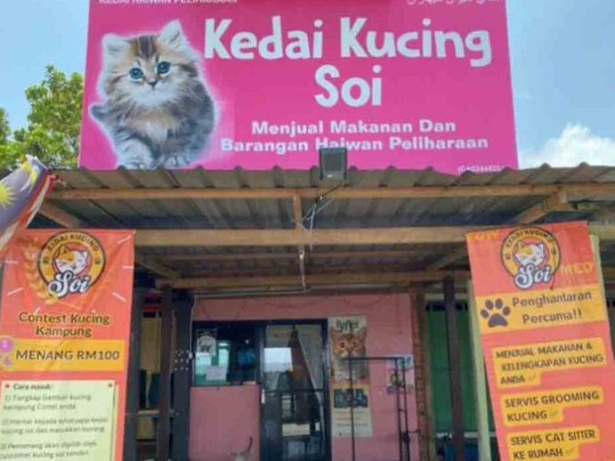 kucing kampung pets shop