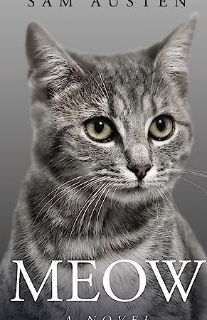 Meow Cat Story 1 meow cat story