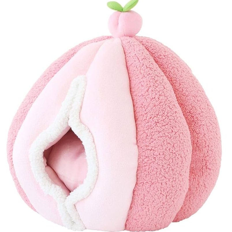 Momo Petz 1 momo petz