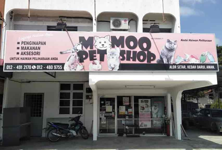 Momoq Pet Shop 1 momoq pet shop