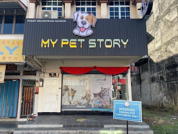 my pet story lorong tupai