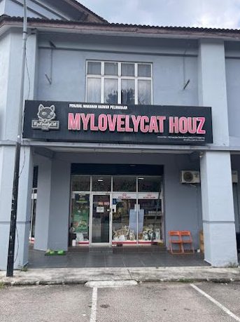 mylovelycat houz cat hotel cat care cat grooming cat boarding skudai johor