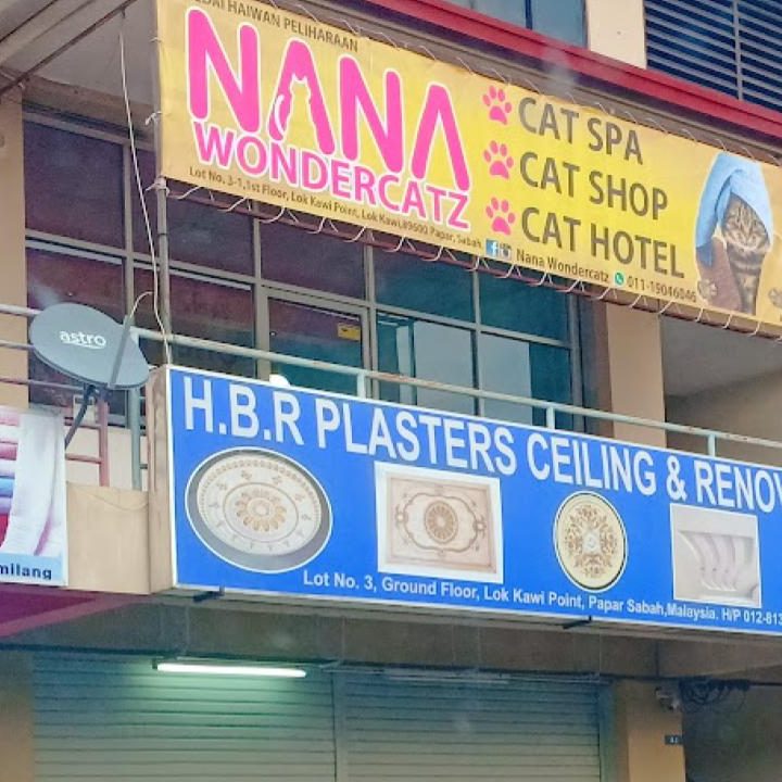 Nana Wondercatz Putatan 1 nana wondercatz putatan
