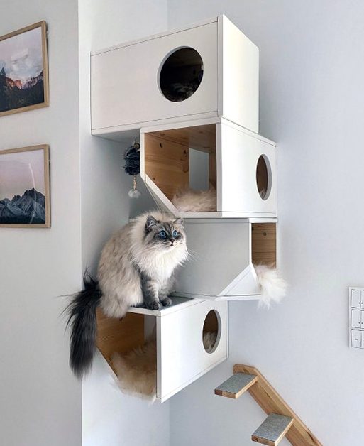 Nissa Cat House 1 nissa cat house