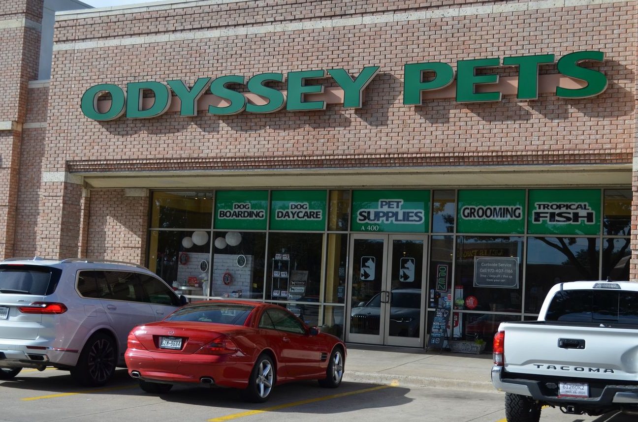 Odoi Petshop 1 odoi petshop