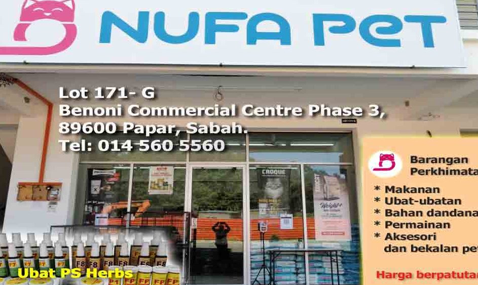 papar pet shop