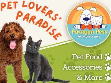 Paragon Pets Sdn Bhd 1 paragon pets sdn bhd