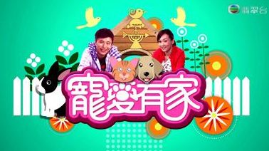 paw paws pet house e5aea0e788b1e69c89e5aeb6