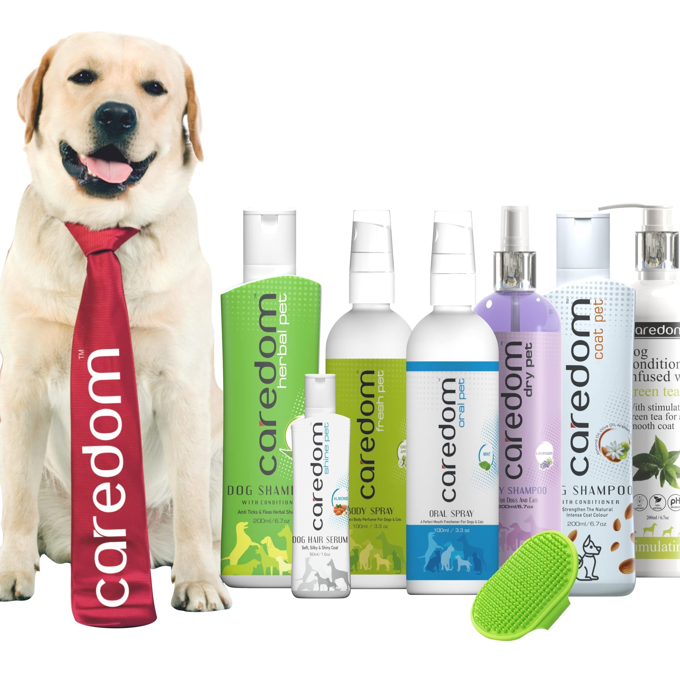 Pawfect Pets Essentials & Grooming Gallery 1 pawfect pets essentials grooming gallery