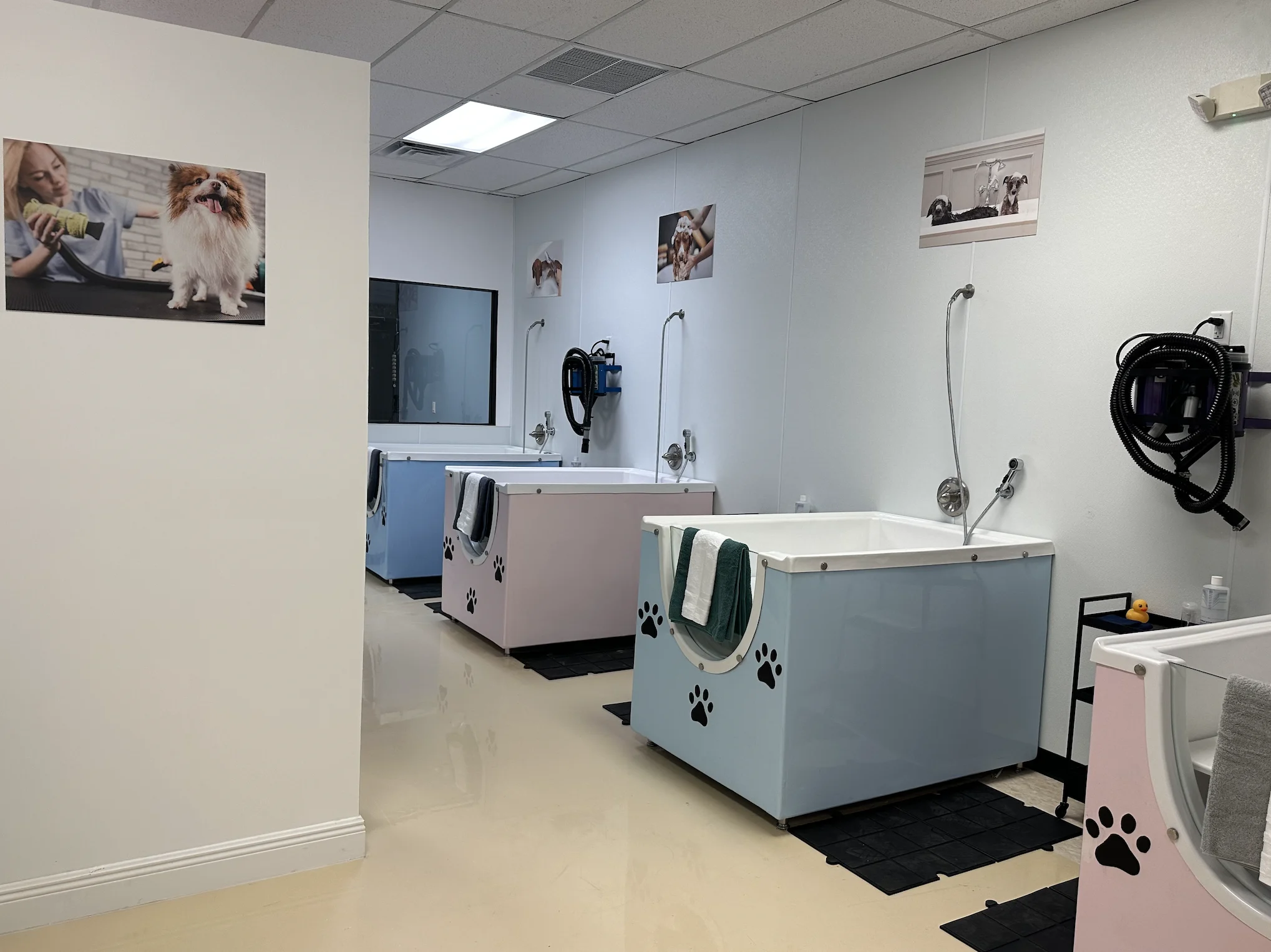 Pet Image Grooming Salon 1 pet image grooming salon