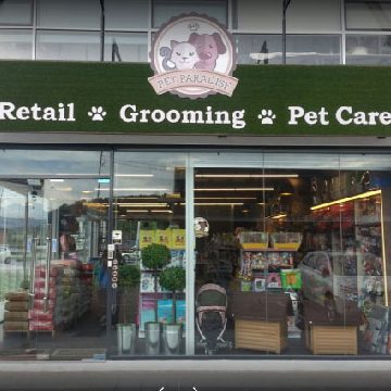Pet Paradise Kepayan Kota Kinabalu 1 pet paradise kepayan kota kinabalu