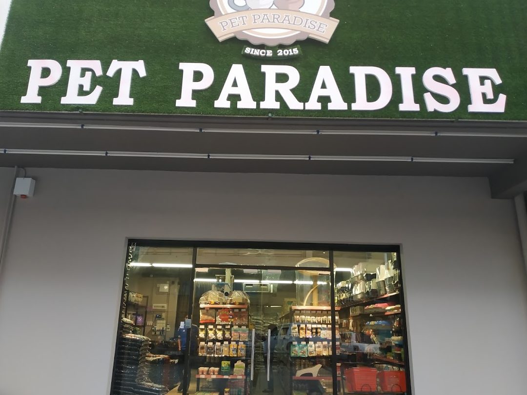 Pet Paradise Penampang 1 pet paradise penampang