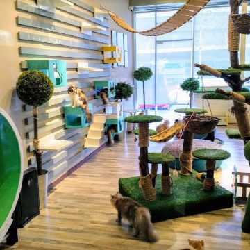 Pet Paradise Putatan 1 pet paradise putatan