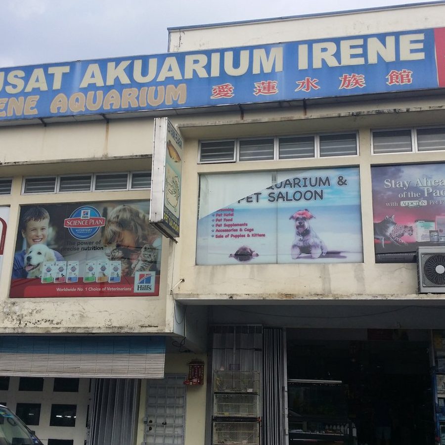pusat akuarium lee huat