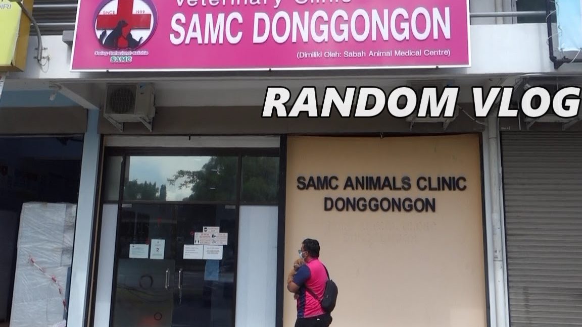 SAMC ANIMAL CLINIC DONGGONGON PENAMPANG 1 samc animal clinic donggongon penampang