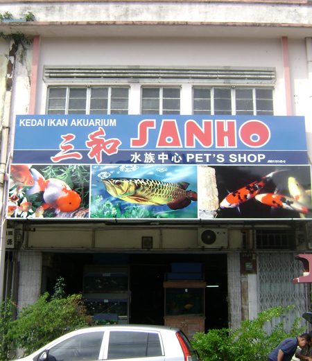 sanho pets shop