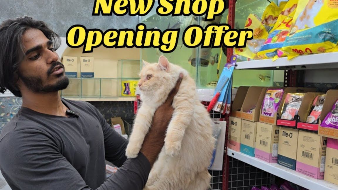 Sarah pet shop 1 sarah pet shop