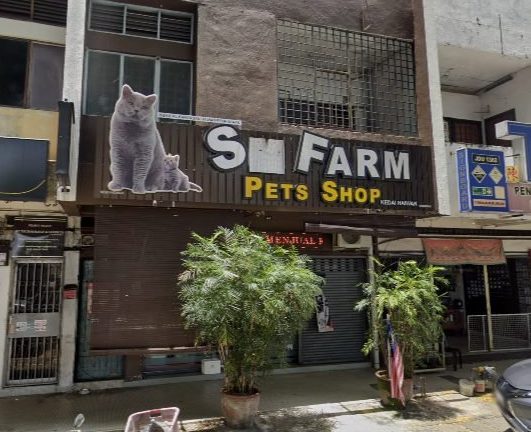 sm farm pet shop