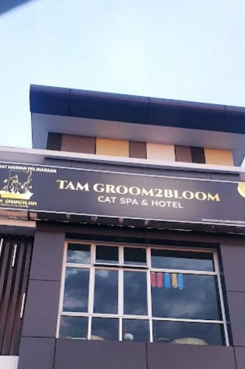 TAM GROOM2BLOOM CAT HOTEL & SPA 1 tam groom2bloom cat hotel spa