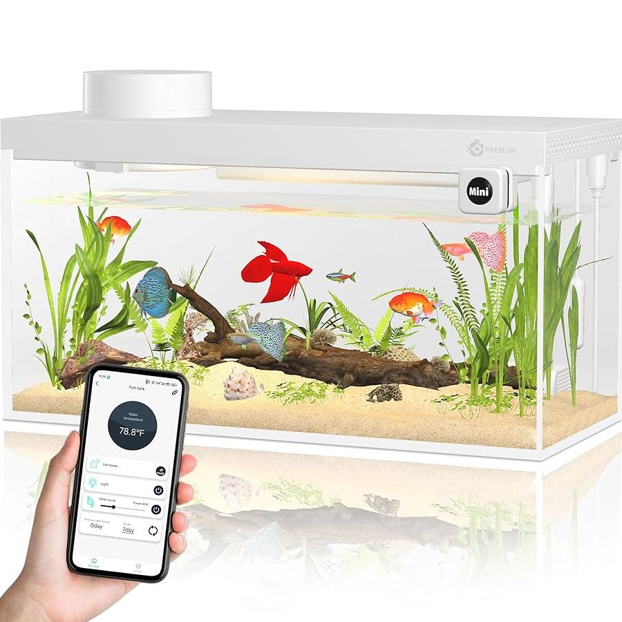 TemanMU Pets & Aquarium 1 temanmu pets aquarium