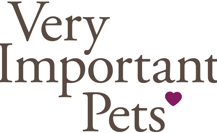 Very Important Pet 1 very important pet