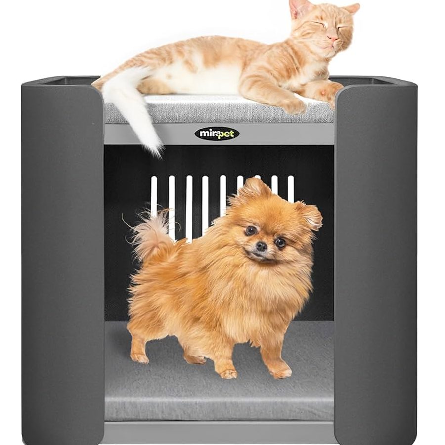 vetacat miracat seller muezza petshop
