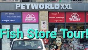 World City Pet - WCP 1 world city pet wcp
