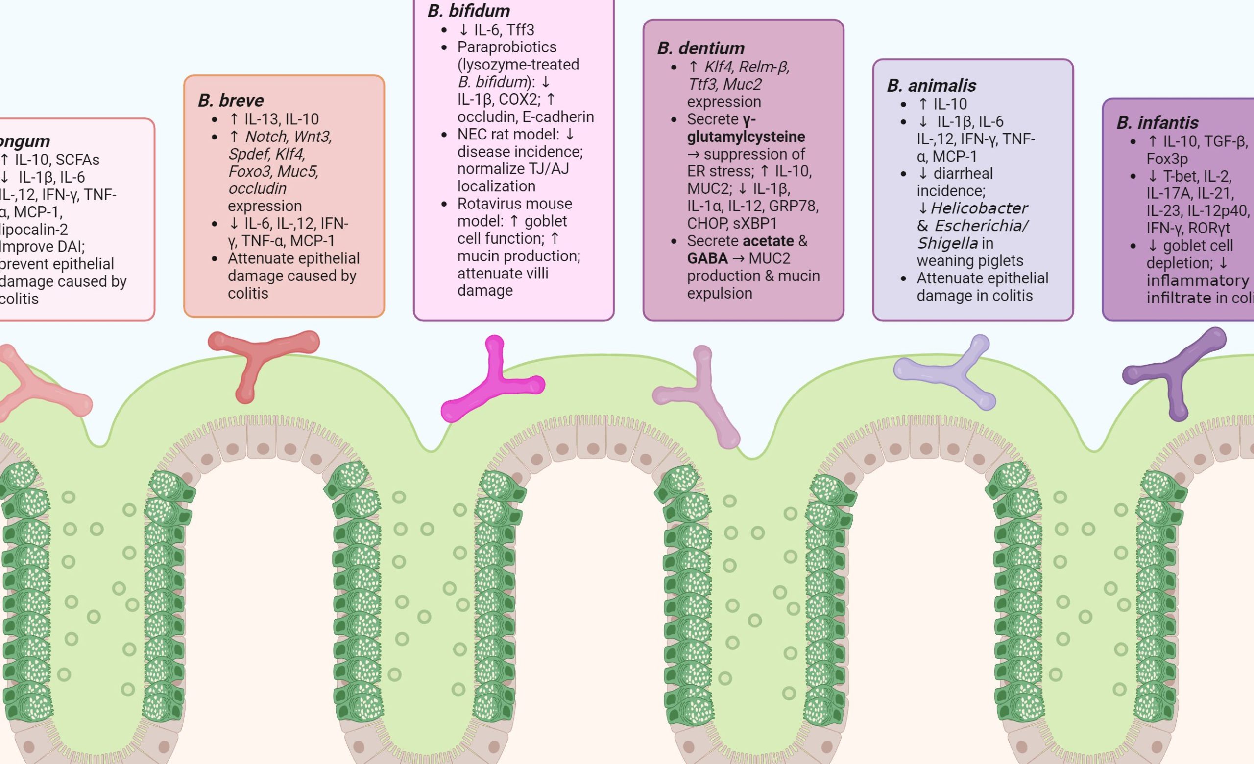 Yit Chung Poultry Feed 1 yit chung poultry feed scaled