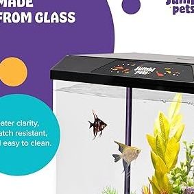 YY Pet Shop & Aquarium 1 yy pet shop aquarium